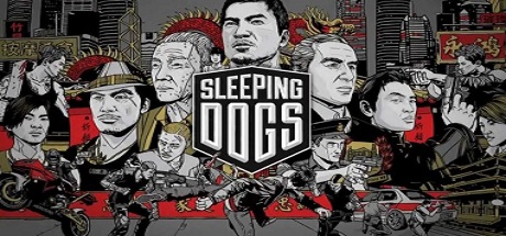 Sleeping Dogs Limited Edition
